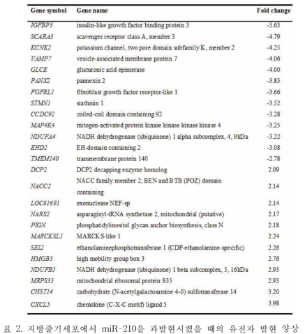 지방줄기세포에서 miR-210을 과발현시켰을 때의 유전자 발현 양상