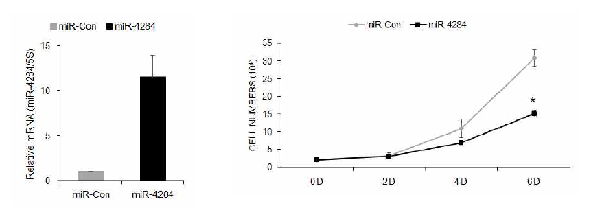 miR-4284에 의한 지방줄기세포의 증식 조절