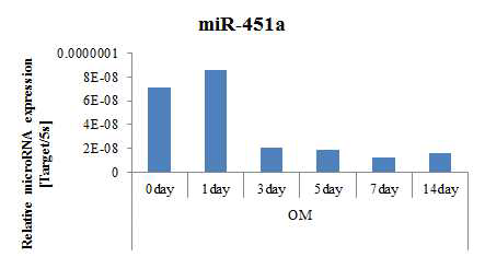 골분화 기간동안 miR-451a의 발현 확인