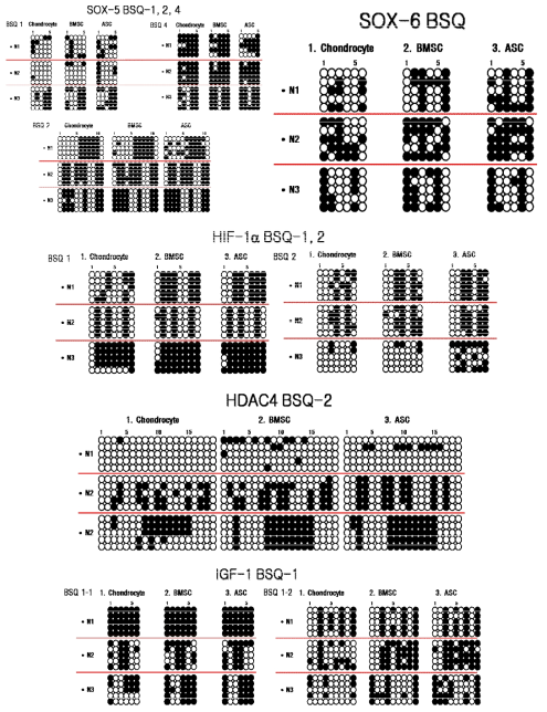 Bisulfite sequencing (BSQ).