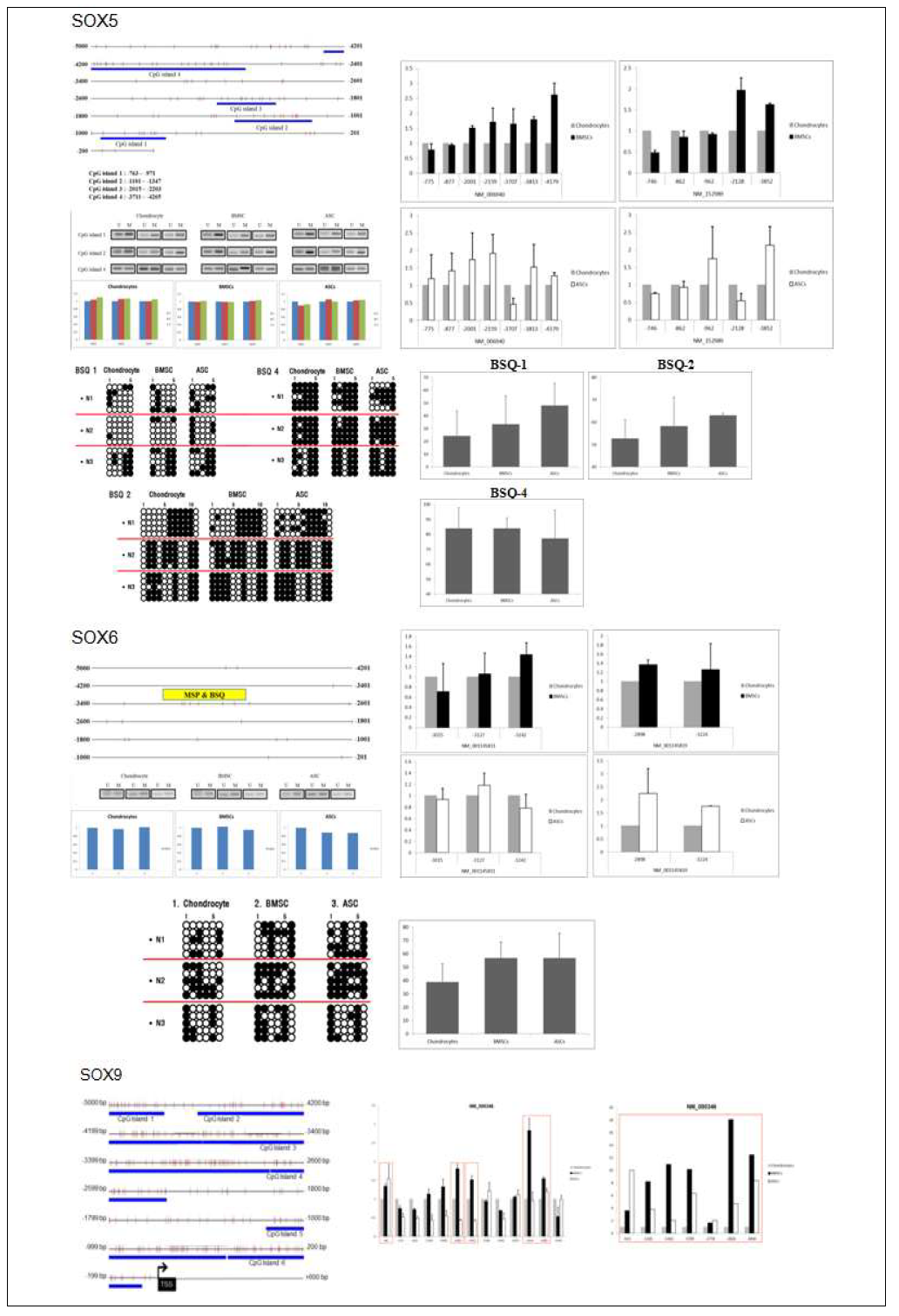 대표적 연골형성 관련인자인 SOX-trio promoter들의 methylation 상태 분석