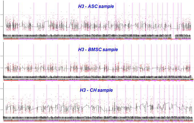 Histone 3에 결합하는 DNA의 차이 확인