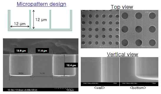 Micropattern fabrication