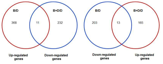 청색광 조건 (B) 과 청색광+어둠조건 (B+D)에서 발현양을 차별적으로 발현하는 유전자들