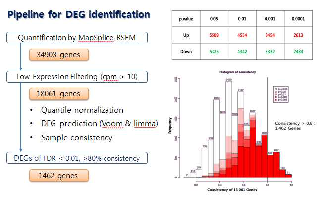 차등발현 유전자 분석 파이프라인과 분석 결과