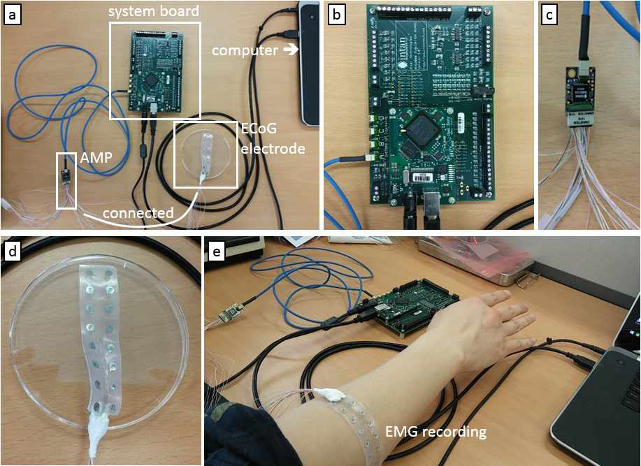 구축된 칩 형 AMP 시스템. (a) 전체 시스템. (b) 측정된 신호를 컴퓨터로 연결시 켜주는 system board. (c) 신경신호 측정 전용 칩 형 AMP. (d) 임상에서 사용되 고 있는 ECoG 전극(16채널). (e) 구축된 시스템을 통해 팔의 근전도(EMG)를 측 정하고 있는 모습.