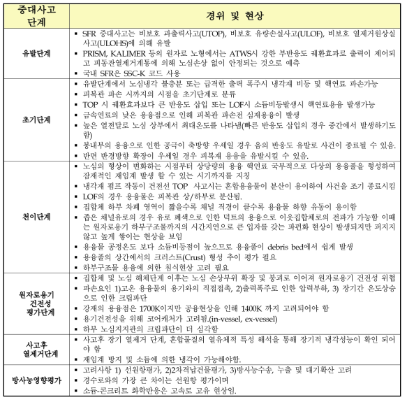 소듐냉각고속로 중대사고 단계별 경위 및 주요 현상