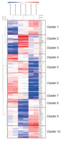 위 유전자들의 clustering 분석