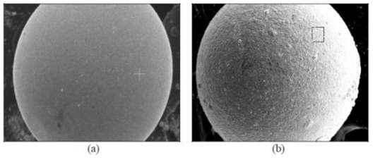 The SEM of (a) an as-atomized U-7wt%Mo powder and (b) a Si pack annealed U-7wt%Mo powder at 900℃ for 1 hour under vacuum