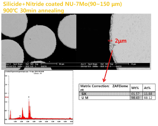 규화물과 질화물이 복합적으로 코팅된 NU-7Mo 분말 단면