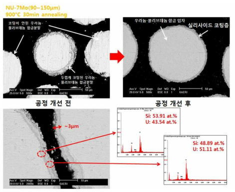 복합구조 Silicide coated U-7Mo 분말 단면, 900℃, 30 min