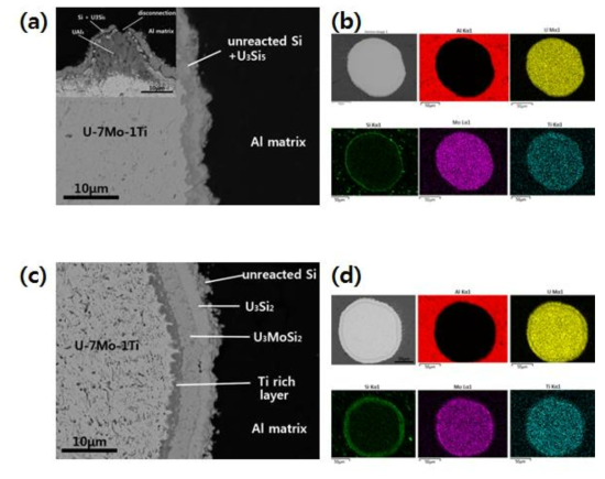550℃에서 2시간 노외 시험한 다층 실리사이드가 코팅된 U-7Mo 분말의 단면 및 EDS 결과 (a), (b) 900℃ 제조 (c), (d) 1000℃ 제조