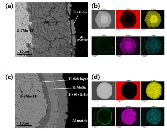 600℃에서 2시간 노외 시험한 다층 실리사이드가 코팅된 U-7Mo 분말의 단면 및 EDS 결과 (a), (b) 900℃ 제조 (c), (d) 1000℃ 제조