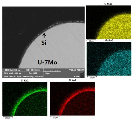 Si/Al 이 코팅된 U-7Mo 분말 단면 및 EDS 분석 결과