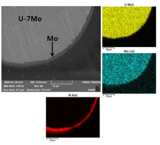 Mo/Al 이 코팅된 U-7Mo 분말 단면 및 EDS 분석 결과