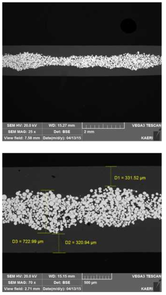 PVD Si 코팅된 U-7Mo 분말을 사용하여 500℃에서 열간압연 된 8g·U/cc mini-plate의 SEM 이미지