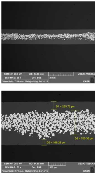 PVD Si 코팅된 U-7Mo 분말을 사용하여 520℃에서 열간압연 된 8g·U/cc mini-plate의 SEM 이미지