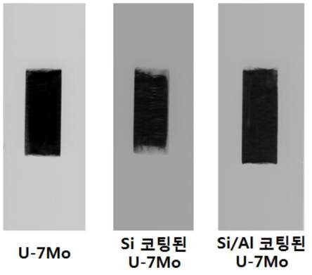 복합구조 원심분무 분말 기반 8g·U/cc mini-plate X-ray 사진