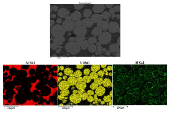 PVD Si/Al 코팅된 U-7Mo 분말을 사용하여 500℃에서 열간압연 된 8g·U/cc mini-plate의 EDS 이미지