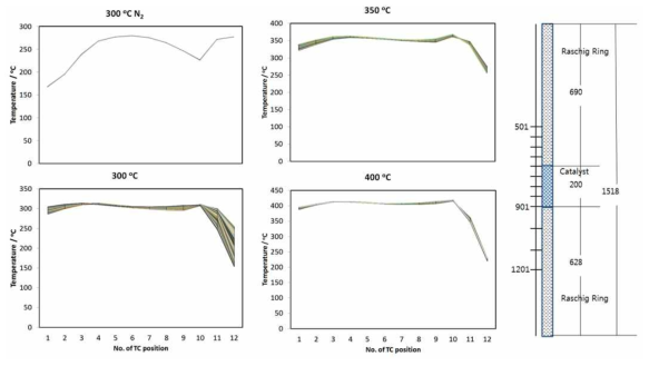 Temperature distribution of tube type reactor core