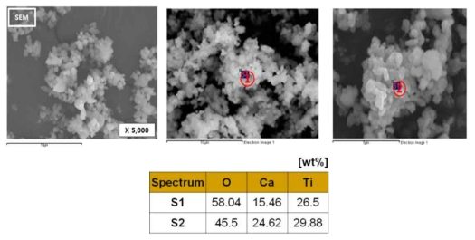 (a) Microstructure and (b) EDS of the CaTiO3 heat-treatment at 1100 ℃ for 3 hr