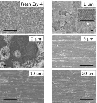 500 oC의 LiCl-KCl-1 wt.% ZrCl4 용융염에서 다양한 산화막 두께를 가진 Zircaloy-4에 대해 전처리 및 cyclic voltammetry 후 표면 SEM 이미지