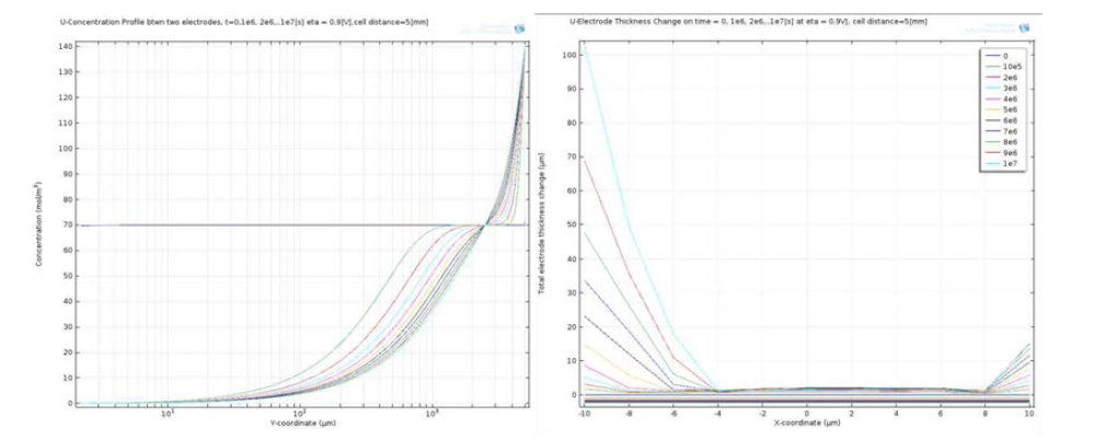 과전압 0.9 V에서 전해정련 시 시간 경과에 따른 표면의 U농도 프로파일(좌), 전착층 두께변화