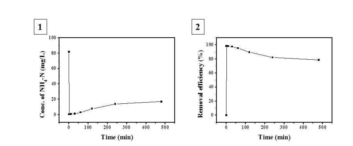 시간에 따른 암모니아성 질소 농도 변화와 제거 효율 변화.
