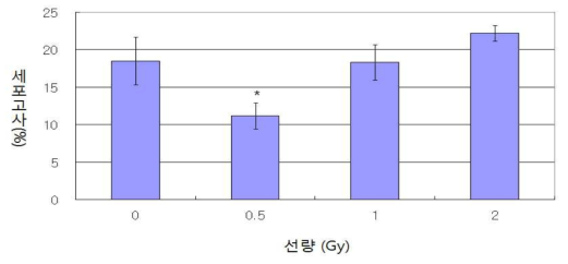 방사선 조사된 등줄쥐 비장세포 세포고사