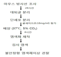 불안정형 염색체이상 관찰을 위한 염색체 제작방법