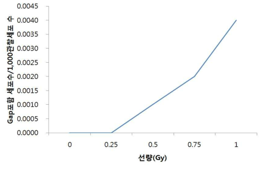 방사선 조사 후 선량증가에 따른 Gap 불안정형 염색체이상 분석