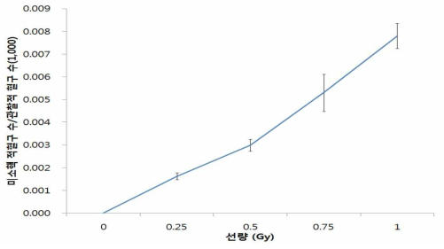 방사선 조사 후 선량증가에 따른 미소핵 출현빈도
