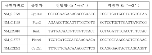 DNA 회복유전자 프라이머 염기서열