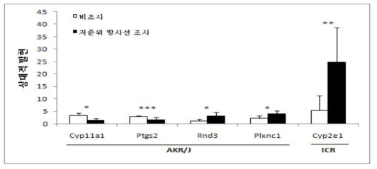 저준위 방사선 조사된 AKR/J와 ICR 마우스 흉선에서 증가된 유전자의 정량분석