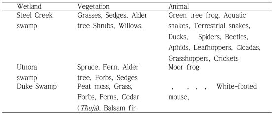 시나리오에서 고려되는 습지별 동식물