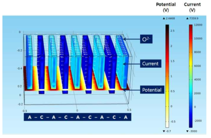 Plate type Anode-Plate type cathode 구조