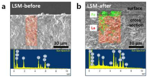 SEM-EDS analysis of La0.33Sr0.67MnO3 anode (a) before and (b) after the reaction