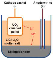 Schematic illustration of electrochemical cell architecture using Sb liquid anode for electrolytic reduction of UO2.