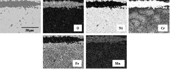 Cross-sectional microstructure and maps of Cr, Ni, O, Mn and Fe for Inconel 600 corroded at 850℃ for 72 h