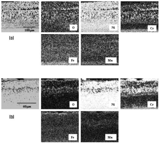 Cross-sectional microstructure and maps of Cr, Ni, O, Mn and Fe for Inconel 600 corroded at 650℃ for (a) 8-thermal cycle, and (b) 12-thermal cycle