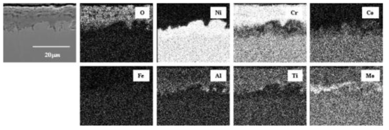 Cross-sectional SEM image and maps of Cr, Ni, O, Co, Ti and Al of Haynes 282 corroded at 650℃ for 72 h.