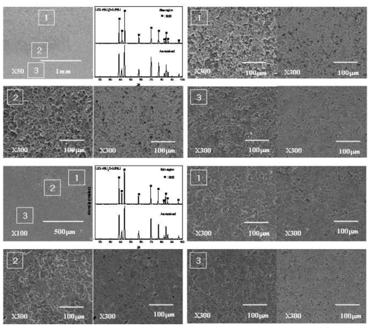 SEM images and XRD pattern of surface corrosion layer of BeO corroded at 650℃ for 168 h (gas and salt region).