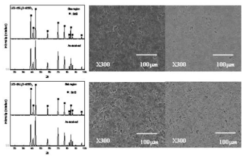 SEM images and XRD patterns of surface corrosion layer of BeO corroded at 650℃ for 168 h (gas and salt region).