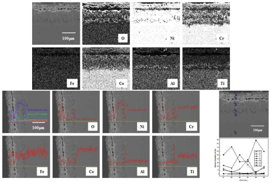 Cross-sectional SEM image and maps of O, Ni, Cr, Fe, Co, Al and Ti, line profile analysis and point quantitative analysis of N90 corroded at 650℃ for 7 thermal cycles.