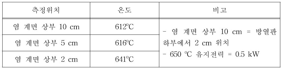 염온도 650oC에서 염계면 상부 온도분포