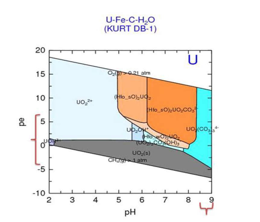 KURT DB-1 시추공 I3 구간의 PHREEQC를 이용한 우라늄 화학종 계산결과