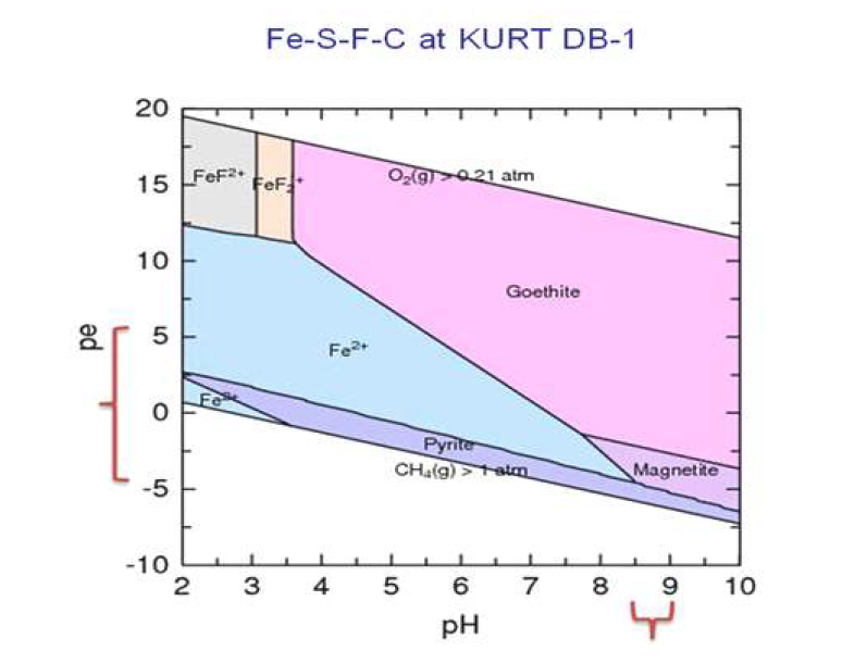 KURT DB-1 시추공에서 PHREEQC를 이 용하여 계산한 Fe의 화학종 계산 결과