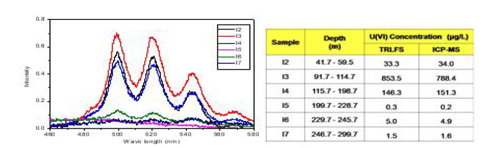 TRLFS를 이용한 KURT 지하수중 우라늄 농도 측정 결과(좌)와 ICP-MS 측정결과와의 비교 검증 결과