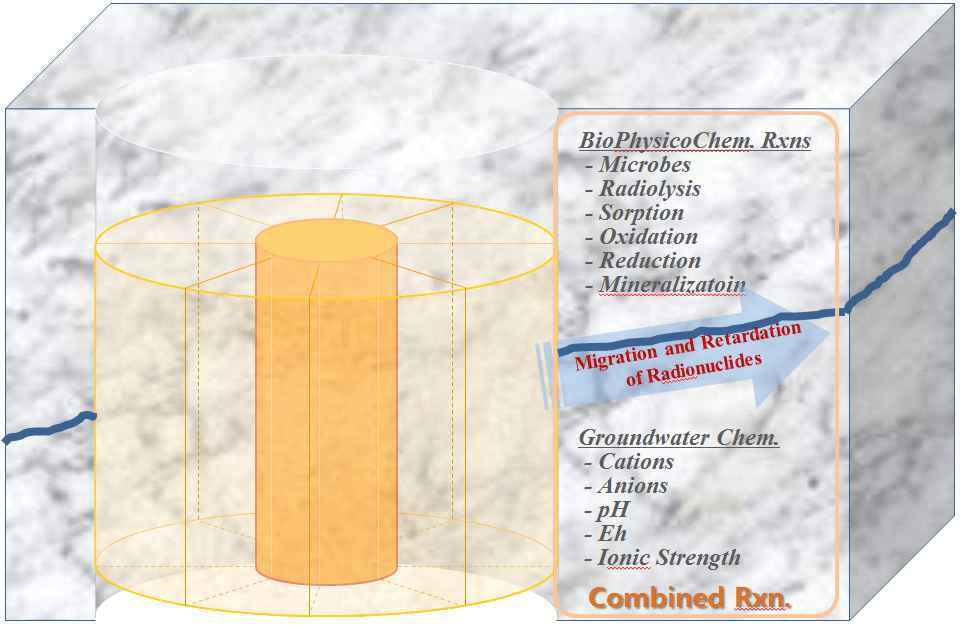 완충재/암반 경계에서 핵종의 생지화학 반응 개요도