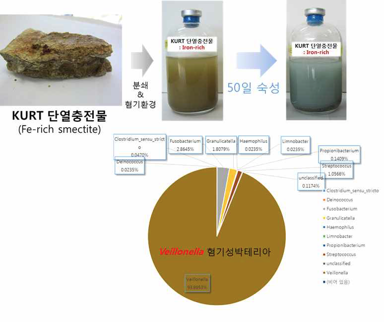 KURT 단열충전물로부터 “Veillonella” 혐기성미생물 분리 및 동정